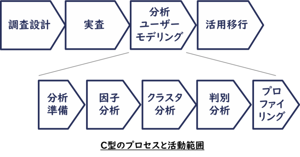 C型のプロセスと活動範囲