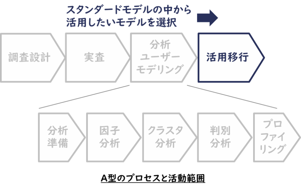 A型のプロセスと活動範囲