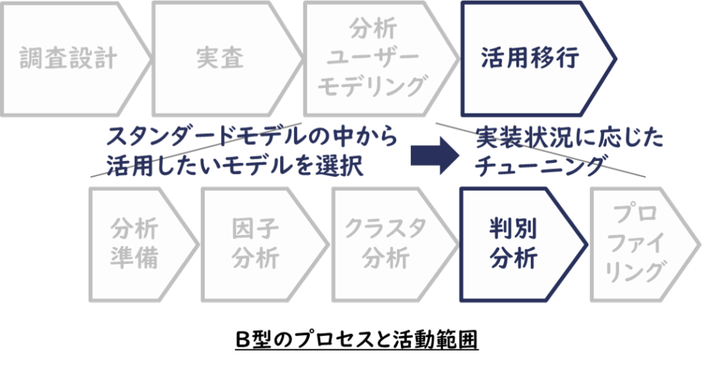 B型のプロセスと活動範囲